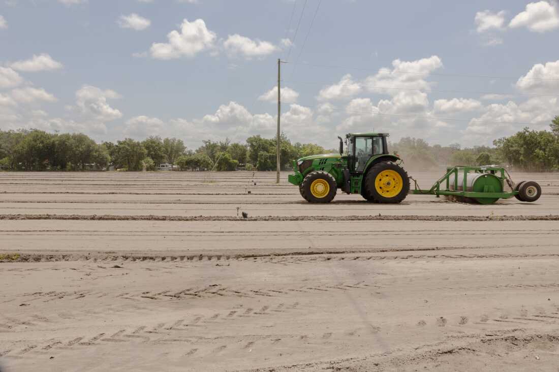 The image shows a green tractor and a large plastic tractor in a field under a partly cloudy sky.
AI-generated content may be incorrect.
